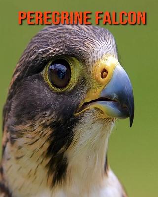 Book cover for Peregrine Falcon