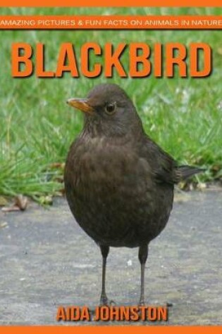 Cover of Blackbird