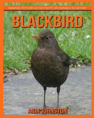 Book cover for Blackbird