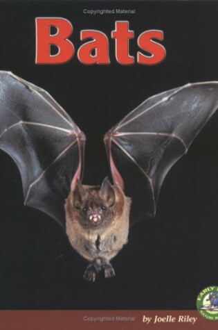 Cover of Bats