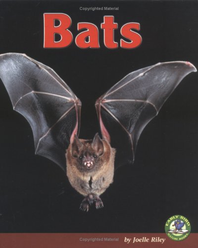 Book cover for Bats