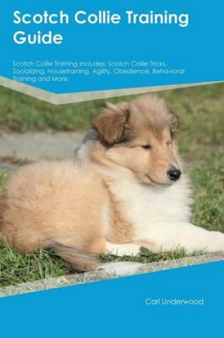 Cover of Scotch Collie Training Guide Scotch Collie Training Includes