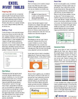 Book cover for Excel Pivot Tables Laminated Tip Card