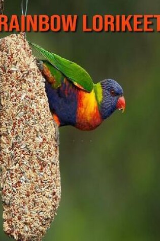 Cover of Rainbow Lorikeet