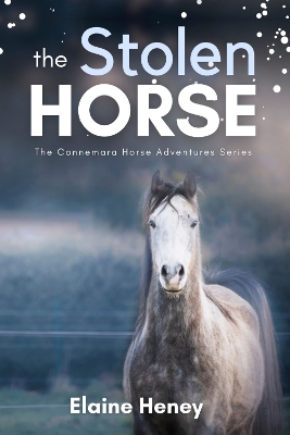 Cover of The Stolen Horse - Book 4 in the Connemara Horse Adventure Series for Kids | The Perfect Gift for Children