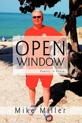 Book cover for Open Window