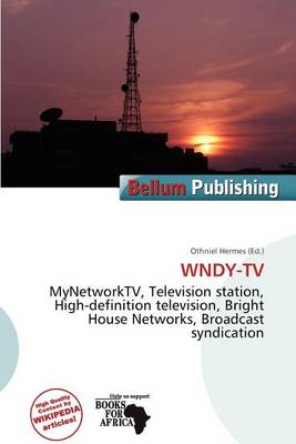 Book cover for Wndy-TV