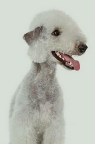 Cover of Bedlington Terrier