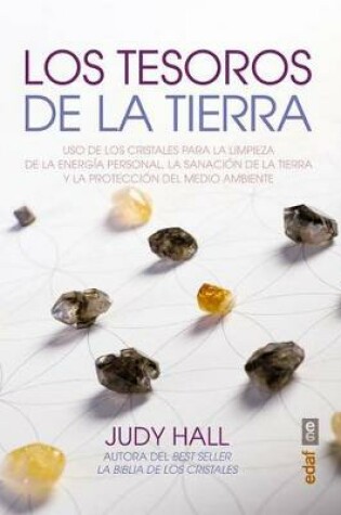 Cover of Los Tesoros de La Tierra