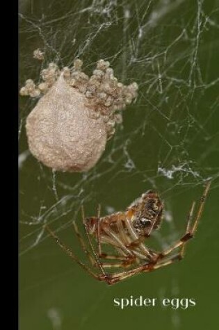 Cover of Spider Eggs