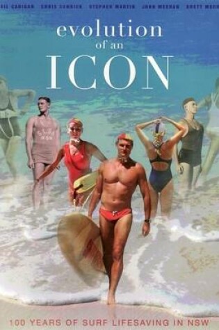 Cover of Evolution of an Icon