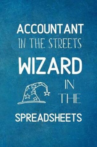 Cover of Accountant In The Streets, Wizard In The Spreadsheets