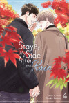 Book cover for Stay By My Side After the Rain Vol. 4