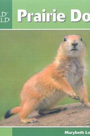 Cover of Prairie Dogs