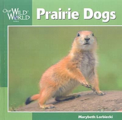 Book cover for Prairie Dogs