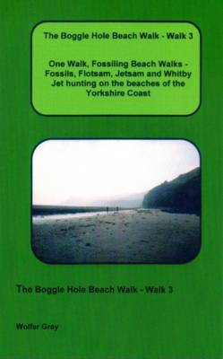 Book cover for The Boggle Hole Beach Walk