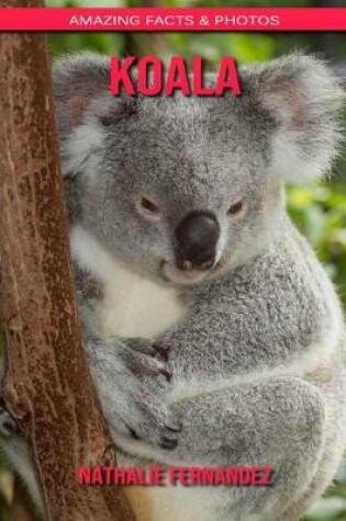 Cover of Koala