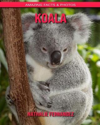 Book cover for Koala