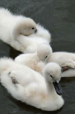 Cover of Adorable Cygnets Baby Swans Journal