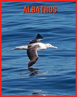 Book cover for Albatros