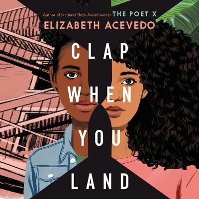 Book cover for Clap When You Land