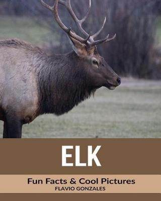 Book cover for Elk