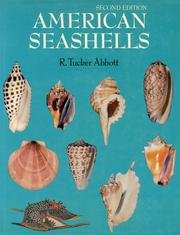 Book cover for American Seashells