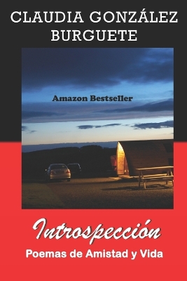 Book cover for Introspección