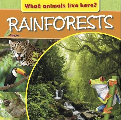 Book cover for What Animals Live Here?: Rainforests