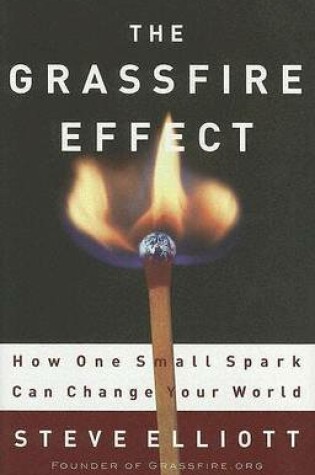 Cover of The Grassfire Effect