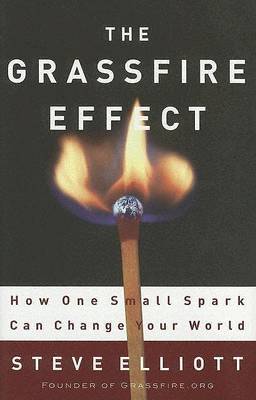 Book cover for The Grassfire Effect