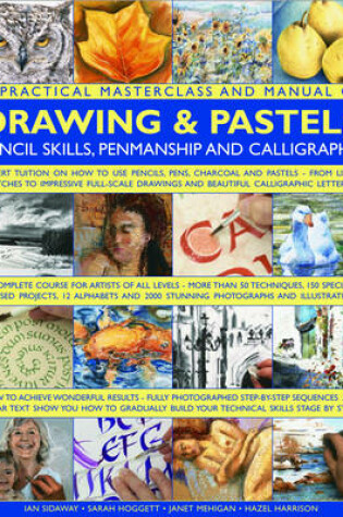 Cover of A Practical Masterclass and Manual of Drawing and Pastels, Pencil Skills, Penmanship and Calligraphy