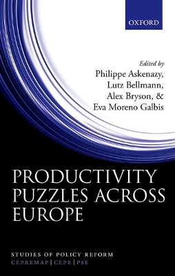 Book cover for Productivity Puzzles Across Europe