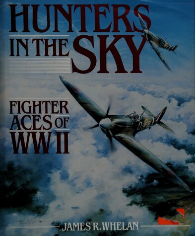 Book cover for Hunters in the Sky