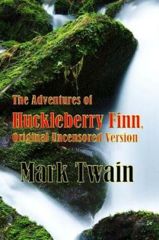 Cover of The Adventures of Huckleberry Finn, Original Uncensored Version