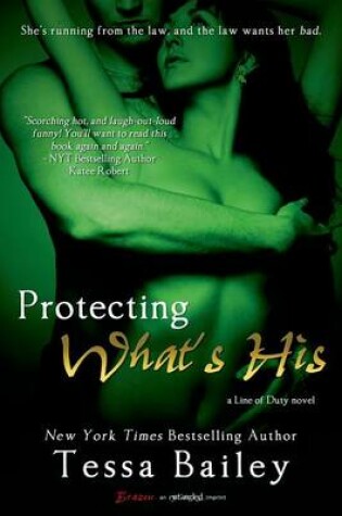 Cover of Protecting What's His