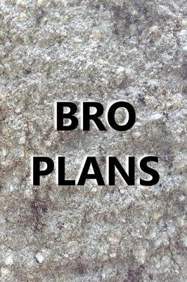 Book cover for 2020 Daily Planner For Men Bro Plans Engraved Carved Stone Style Image 388 Pages