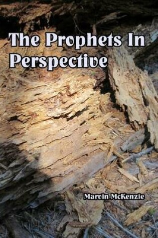 Cover of Prophets in Perspective