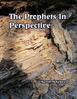 Book cover for Prophets in Perspective