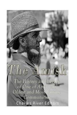 Book cover for The Amish