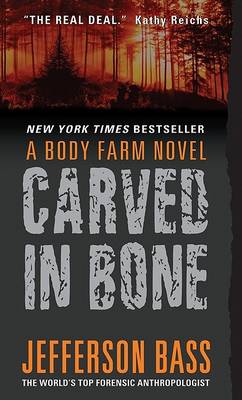 Book cover for Carved in Bone