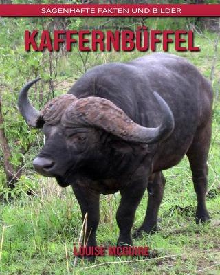 Book cover for Kaffernbüffel