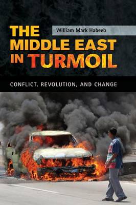 Book cover for The Middle East in Turmoil