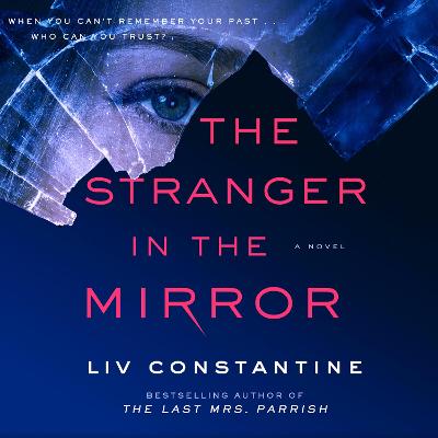 Book cover for The Stranger in the Mirror