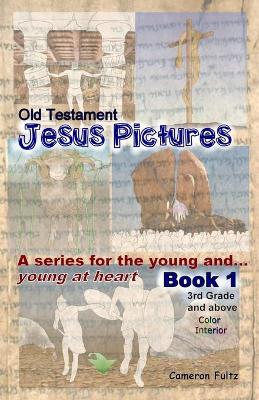Cover of Jesus Pictures for the young ... and young at heart