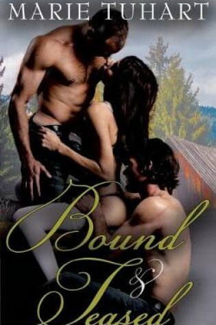 Cover of Bound & Teased