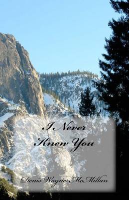 Book cover for I Never Knew You