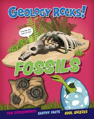 Book cover for Geology Rocks!: Fossils