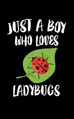 Book cover for Just A Boy Who Loves Ladybugs