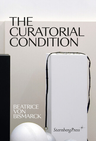 Book cover for The Curatorial Condition